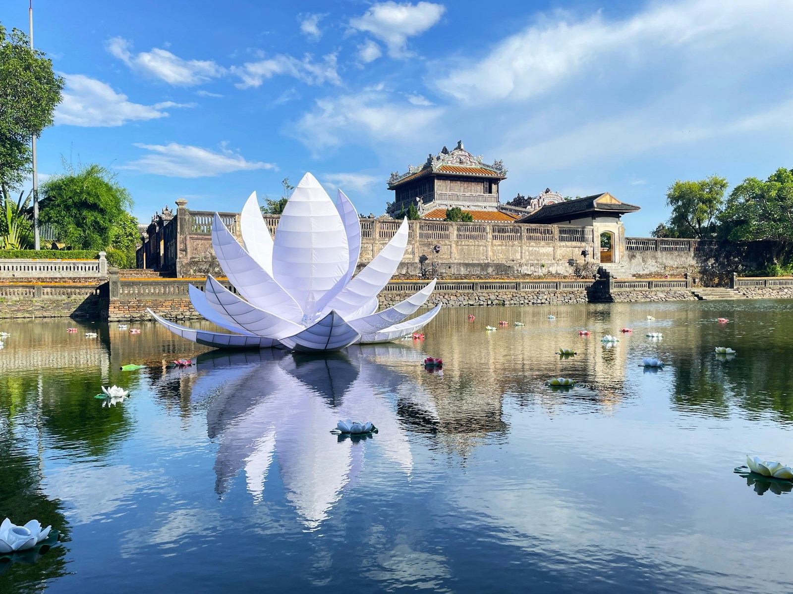 A large white flower sitting on top of a lake